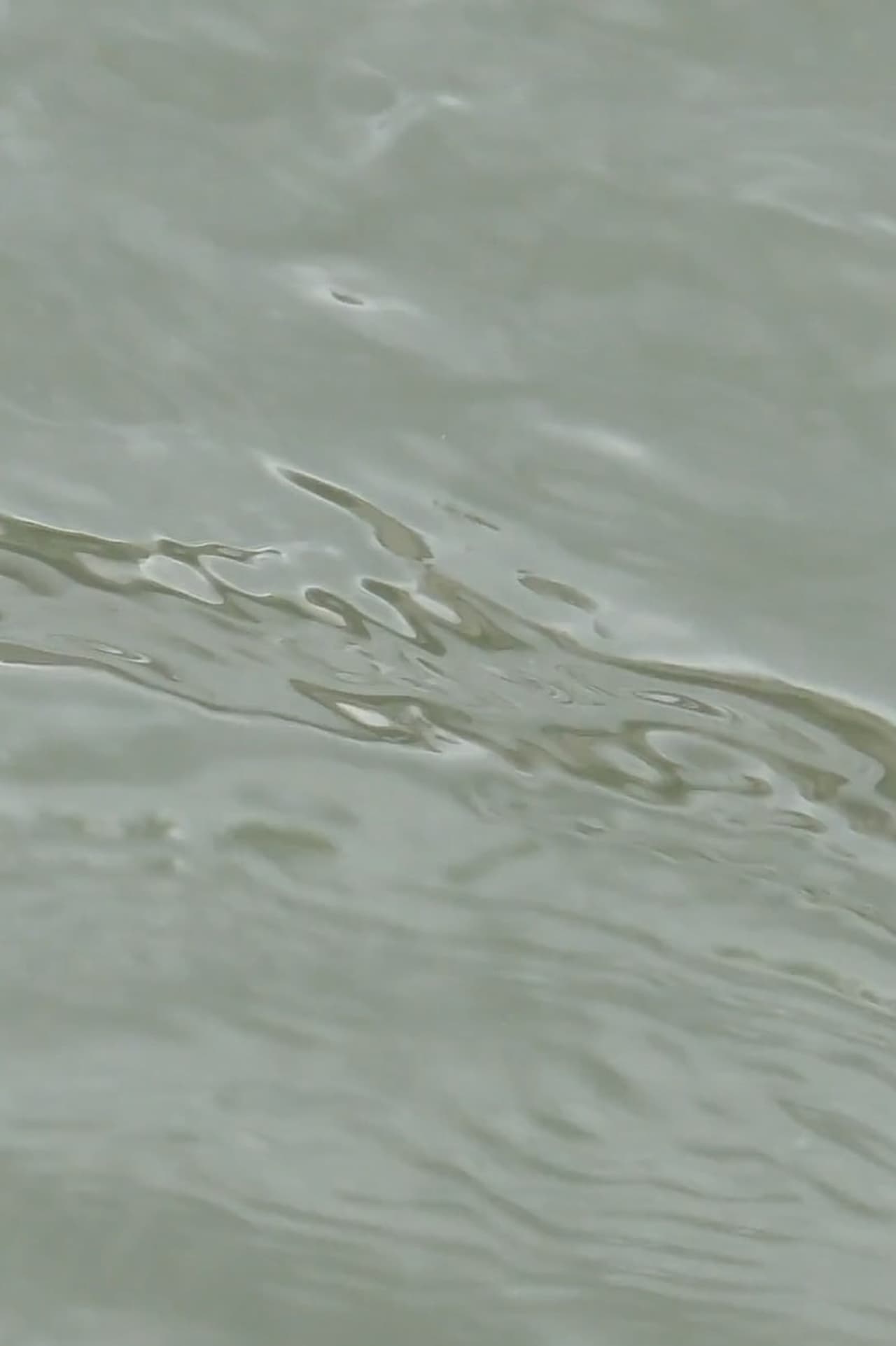 Entre les vagues, un hommage